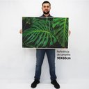 Ver imagem 2 de Quadro Decorativo em Canvas Folhagem TaColado Moldura Flutuante 4,5cm Freijó 90 x 60cm