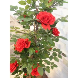 Planta Artificial Roseira Chilena Vermelha 1,30 Metros de Altura - 4