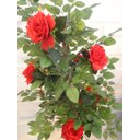 Ver imagem 2 de Planta Artificial Roseira Chilena Vermelha 1,30 Metros de Altura