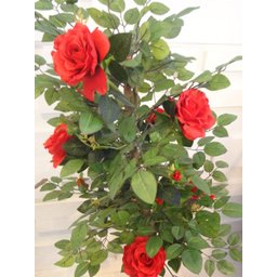 Planta Artificial Roseira Chilena Vermelha 1,30 Metros de Altura - 2
