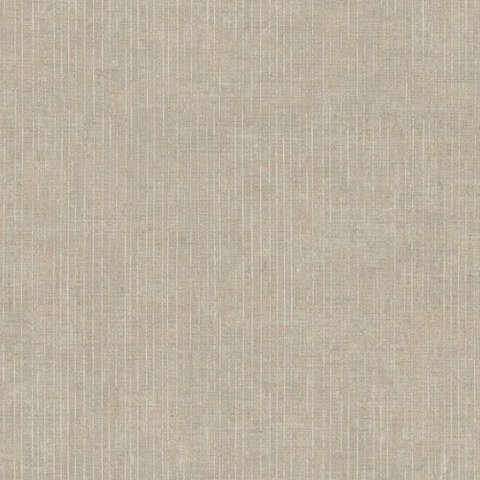 Papel de Parede Thema Textura Bege 28893