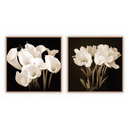 kit com 2 Quadros Decorativos Florais com Moldura e Vidro para Sala Quarto Escritório e Clínica 72x7 - 1
