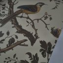 Ver imagem 3 de Papel de Parede Bobinex Jardim Botânico Azul e Terracota - Coleção Refúgio