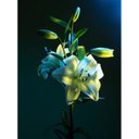 Ver imagem 2 de Quadro Decorativo Tela Canvas Floral Ref:qbfl3 Lojall 150 X 100 Cm Borda Infinita