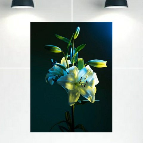 Quadro Decorativo Tela Canvas Floral Ref:qbfl3 Lojall 150 X 100 Cm Borda Infinita