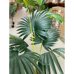 Planta Artificial Árvore Palmeira Leque Grande com 170cm - 7