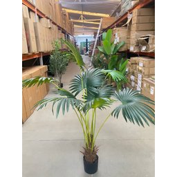 Planta Artificial Árvore Palmeira Leque Grande com 170cm - 8