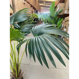 Planta Artificial Árvore Palmeira Leque Grande com 170cm - 5