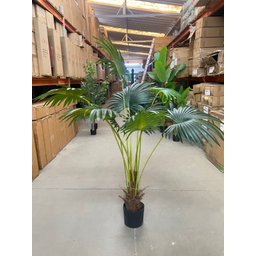 Planta Artificial Árvore Palmeira Leque Grande com 170cm - 6