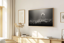 Ver imagem 1 de Quadro Decorativo N°182 115x70cm - Panorâmico Botânico - Flor Solitária na Luz Preto e Branco - Roll