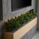 Ver imagem 2 de Kit de 9 Folhagem de Peperômia Artificial Premium 80cm para Arranjos Decorativos