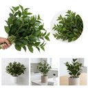 Ver imagem 5 de Kit de 9 Folhagem de Peperômia Artificial Premium 80cm para Arranjos Decorativos