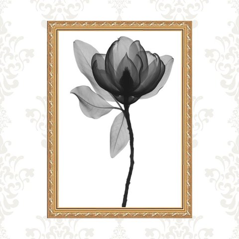 Quadro Moldura Dourada Flor Minimalista 24x18cm:com Acetato