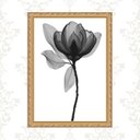 Ver imagem 1 de Quadro Moldura Dourada Flor Minimalista 24x18cm:com Acetato