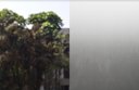 Ver imagem 1 de Vinil Auto Adesivo Jateado Porta Blindex Box Banheiro Janela Película Jateada Cristal 3x0,61mt