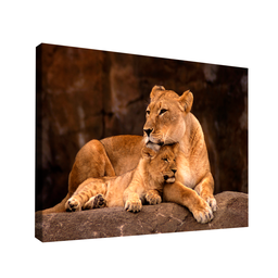 Quadro Leoa e Filhote -- BR ARTES Pequeno 60x40 - 1