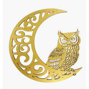 Lua com Coruja:yellow