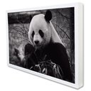 Ver imagem 2 de Quadro Decorativo Urso Panda em Moldura Caixa TaColado Moldura Trad 1cm Madeira Escura com Vidro 20 