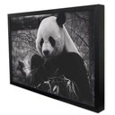 Ver imagem 3 de Quadro Decorativo Urso Panda em Moldura Caixa TaColado Moldura Trad 1cm Madeira Escura com Vidro 20 