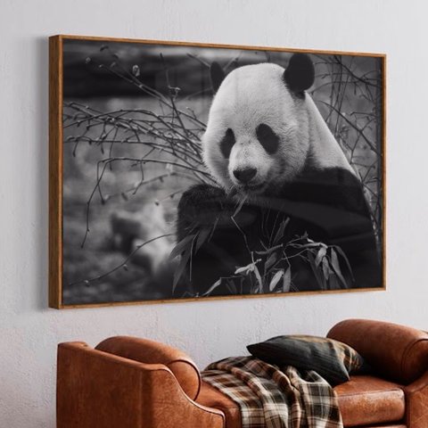 Quadro Decorativo Urso Panda em Moldura Caixa TaColado Moldura Trad 1cm Madeira Escura com Vidro 20 