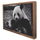 Ver imagem 4 de Quadro Decorativo Urso Panda em Moldura Caixa TaColado Moldura Trad 1cm Madeira Escura com Vidro 20 