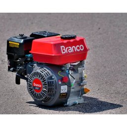 Motor Estacionário B4T 6.5H a Gasolina Branco - 2