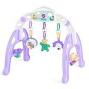 Ver imagem 1 de Mobile Bebê Baby Gym Menina Centro De Atividades Calesita