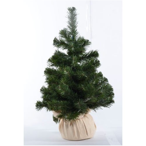 Mini Arvore Natal Pinheiro Base Concreto e Juta 60cm 1 Peça | MadeiraMadeira Mini Arvore Natal Pinheiro Base Concreto e Juta 60cm 1 Peça | MadeiraMadeira