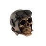 Crânio Caveira Resina Decorativo em resina Aviadora Cor Cinza - 1