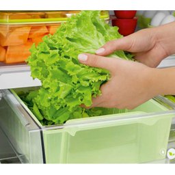 Geladeira Consul Frost Free Duplex 437 litros Branca com Horta em Casa - CRM55AB - 11