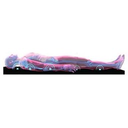 Pillow Massageador Casal Terapêutico Quântica Magnética Infravermelho Longo Sleep - 4