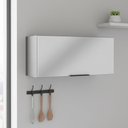 Ver imagem 2 de Armário Aéreo Cozinha 80 Cm Lumina 1 Porta Cinza - Telasul