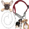 Coleira Cachorro Cao Dog Kit Passeio Corrente Semi - 1