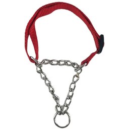 Coleira Cachorro Cao Dog Kit Passeio Corrente Semi - 9