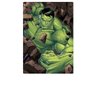 QUEBRA-CABEÇA HULK 60 Peças Vingadores Avengers Marvel Brinquedo Jogo Educativo Heróis Presente - 2