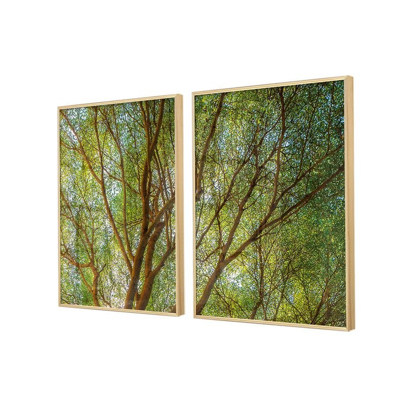 Quadros Decorativos para Sala Árvore Plantas Natureza Paisagem com Vidro Sala de Jantar Escritório - 4