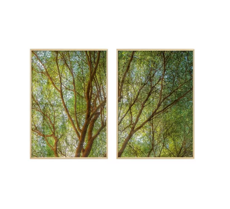 Quadros Decorativos para Sala Árvore Plantas Natureza Paisagem com Vidro Sala de Jantar Escritório - 2