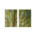 Ver imagem 2 de Quadros Decorativos para Sala Árvore Plantas Natureza Paisagem com Vidro Sala de Jantar Escritório