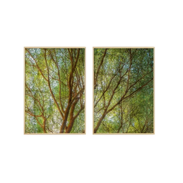 Quadros Decorativos para Sala Árvore Plantas Natureza Paisagem com Vidro Sala de Jantar Escritório - 2