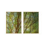 Quadros Decorativos para Sala Árvore Plantas Natureza Paisagem com Vidro Sala de Jantar Escritório - 2