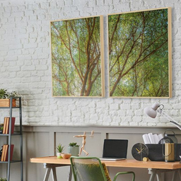 Quadros Decorativos para Sala Árvore Plantas Natureza Paisagem com Vidro Sala de Jantar Escritório - 1