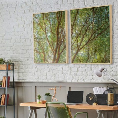 Quadros Decorativos para Sala Árvore Plantas Natureza Paisagem com Vidro Sala de Jantar Escritório