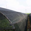 Ver imagem 4 de Tela Sombreamento Proteção Agrícola 50% 1,5 X 50 Preta