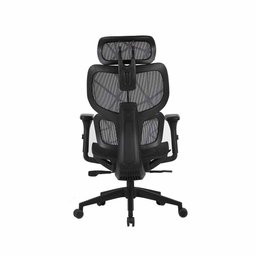 Cadeira Ergonômica Elements Siggy - 2