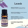 Kit Aromaterapia Difusor Elétrico e 6 Óleo Essencial Via Aroma - Rosa - 2