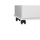 Ver imagem 5 de Armário Multiuso 2 Portas com Rodízios Arezzo 