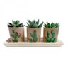 Conjunto 3 Cachepots com Bandeja Desert Cactus Urban - 1