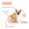 Fralda Descartável Femea Higiênica 24 Un Pet Cães Dogs Care - 2