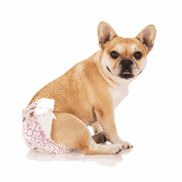 Fralda Descartável Femea Higiênica 24 Un Pet Cães Dogs Care - 4