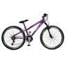 Bicicleta A26 Free Rider C/Suspensão Dianteira Raios 21v Roxo - Master Bike - 1